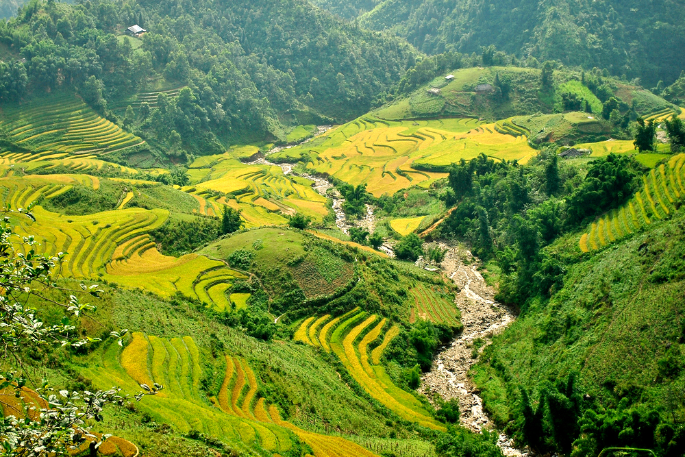 Sapa – Lao Chai – Ta Van (B/L/-) Photo 5