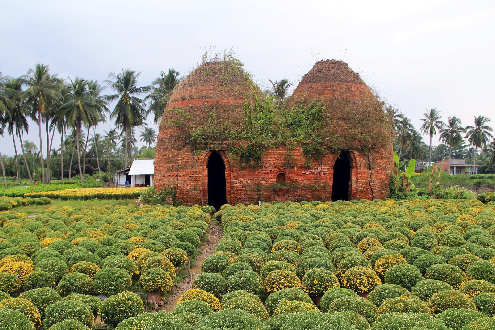 Ben Tre – Tra Vinh Photo 5