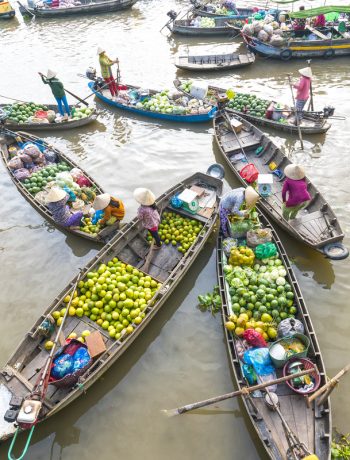 Ho Chi Minh City & Mekong Delta Tour 3 Days