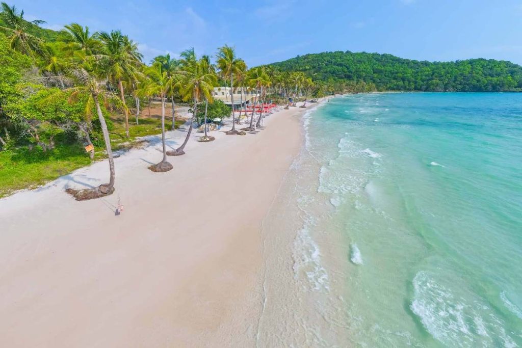 Immersive South Vietnam Tour 8 Days