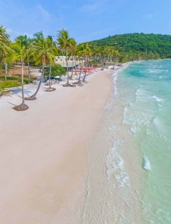 Immersive South Vietnam Tour 8 Days