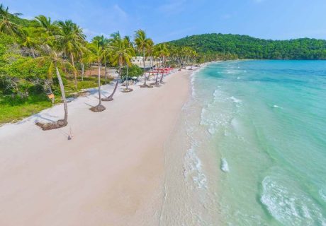 Immersive South Vietnam Tour 8 Days