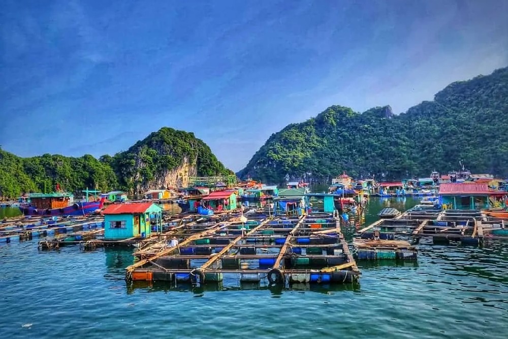 Ha Long to Hanoi ( B / Br / - ) Photo 2