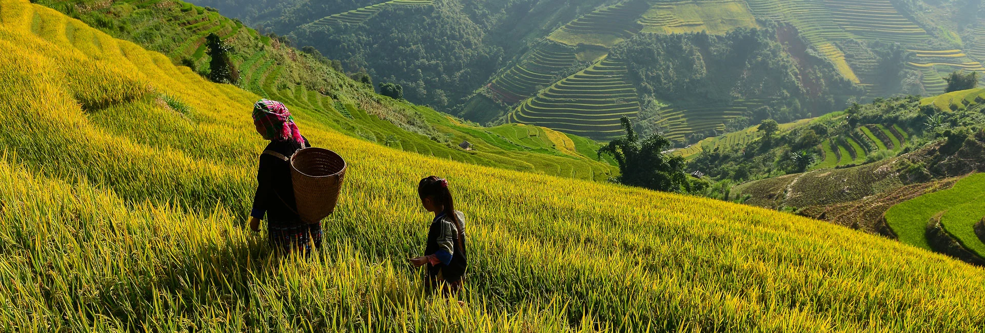 Best Ha Giang Tours Packages (2026, 2027)