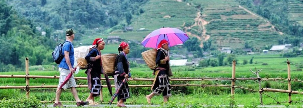 Arrange a video appointment