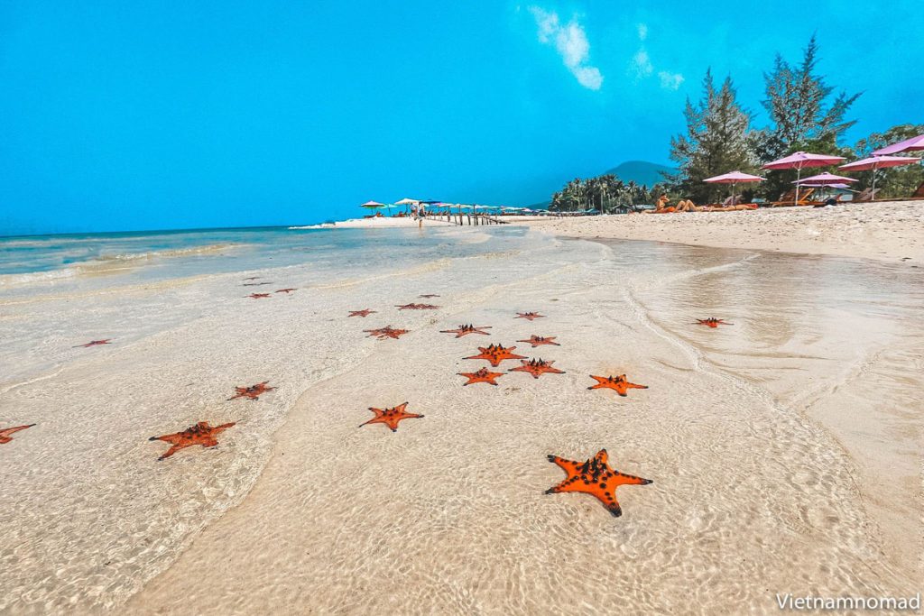 Southern Phu Quoc Tour –  Highlights 1 Day