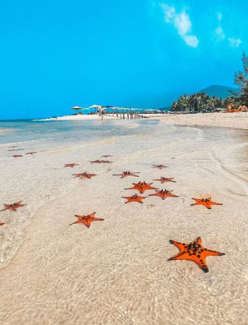 Southern Phu Quoc Tour –  Highlights 1 Day