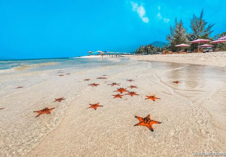 Southern Phu Quoc Tour –  Highlights 1 Day